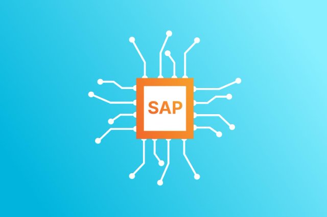 Оптимизация SAP: Подходы к долгосрочной поддержке Оптимизация SAP: Подходы к долгосрочной поддержке